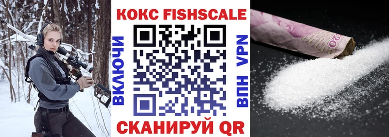 COCAIN Fish Scale  цена наркотик  Новое Девяткино 