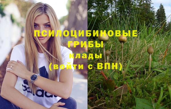 марки nbome Балахна