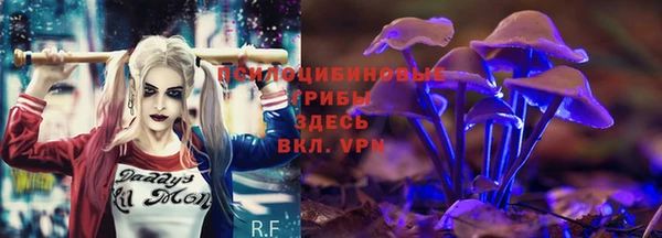mdpv Баксан