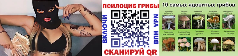 цена   Новое Девяткино  Галлюциногенные грибы ЛСД 
